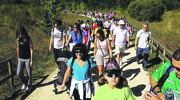 La Marcha Familiar Green recorrerá el parque de Olárizu. 