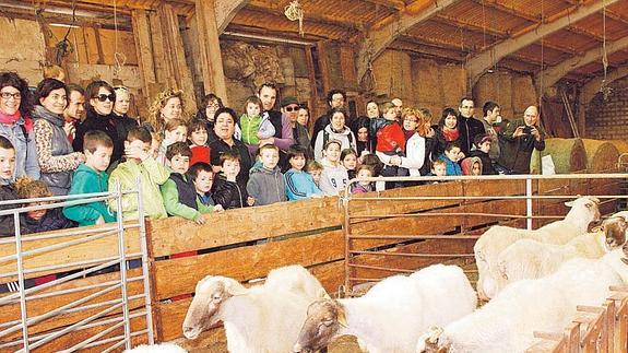 Las ovejas, reinas del mes de marzo
