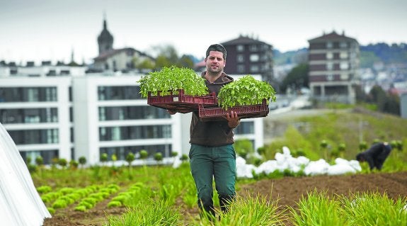La valoración de los usuarios tras el primer año es muy positiva. 