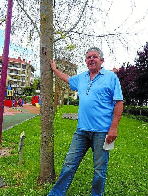Patxi Elola muestra la fila de árboles que serán talados. 