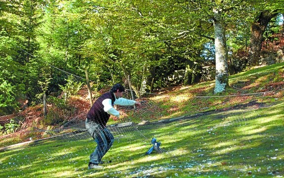 Redes. Si hay suerte se puede ver la captura de palomas con red.