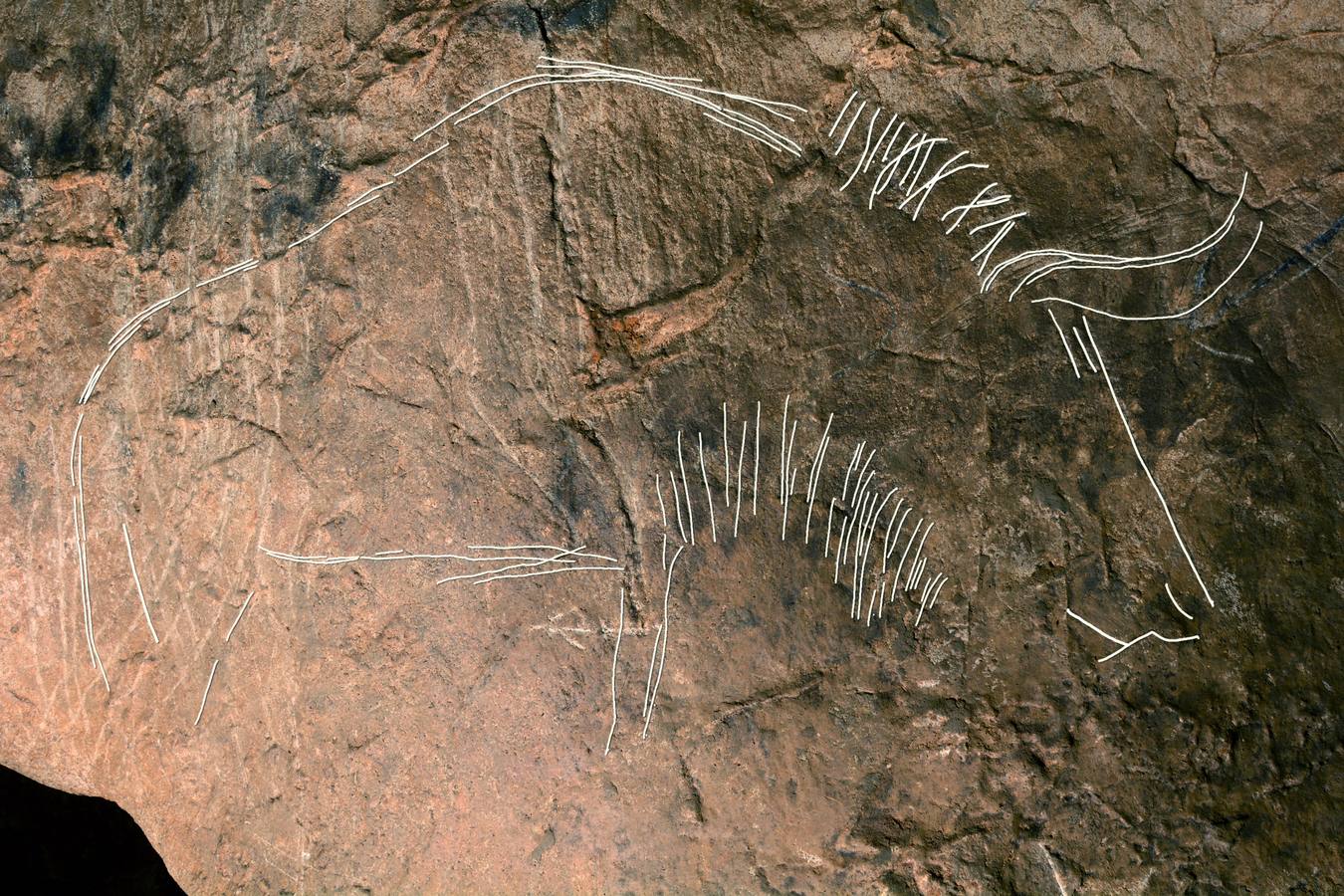 Descubiertos nuevos grabados rupestres paleolíticos en las cuevas de Landarbaso