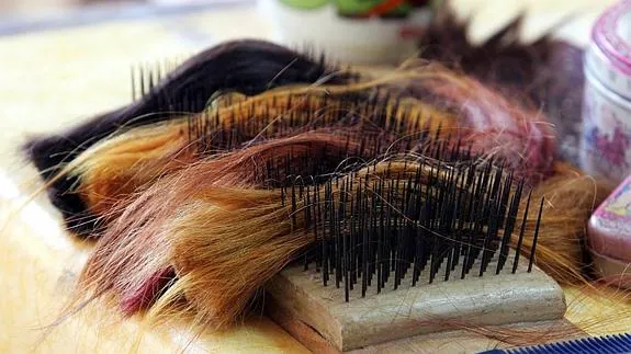 Estudiantes crean un proyecto de donación de pelo para pelucas para mujeres con cáncer