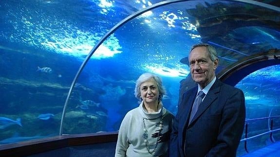 Mari Carmen Garmendia y José Ignacio Espel, en el 'tunel' del Aquarium