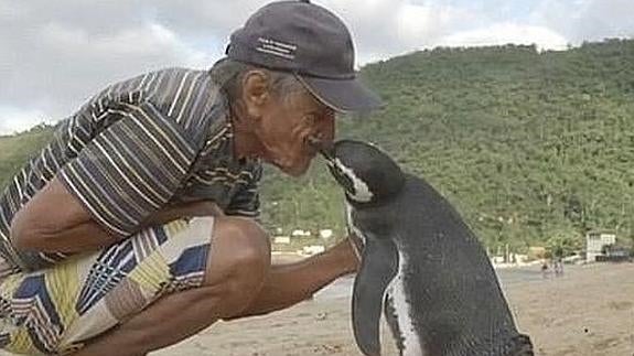 La bonita gesta de un pingüino con su salvador