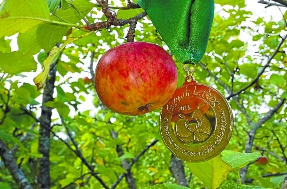 Imagen de la medalla conseguida por la sidrería local.