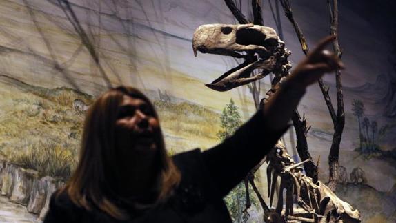 Trelew hace sitio al dinosaurio más grande del mundo y sus otros tesoros paleontológicos