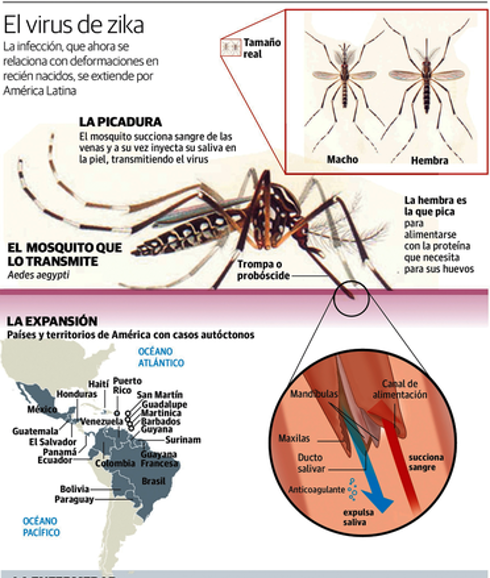 El Ministerio de Sanidad ha actualizado este lunes la lista de los casos confirmados hasta la fecha.