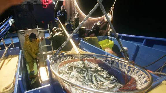 Dotan con siete millones de euros en ayudas al sector pesquero vasco