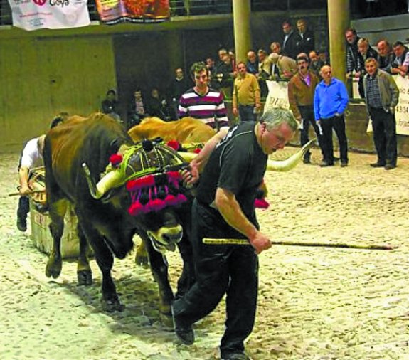 Idi dema. Bost saio izango dira aurtengo Aiako Kintopeko proban. 