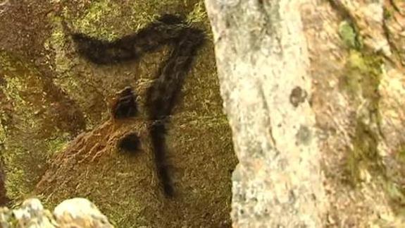 Pintan símbolos de 'Harry Potter' en el principal dolmen de Vigo
