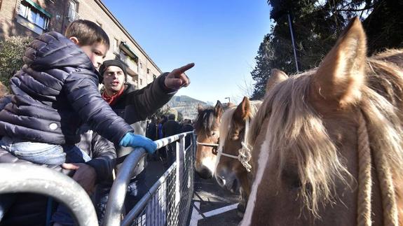 El recinto ferial de ganado ha sido un año más una de las zonas más visitadas.