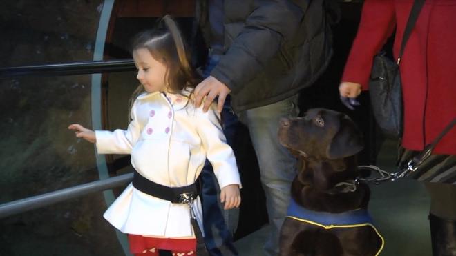 Rita, el primer perro que asistirá a una niña con autismo en Euskadi