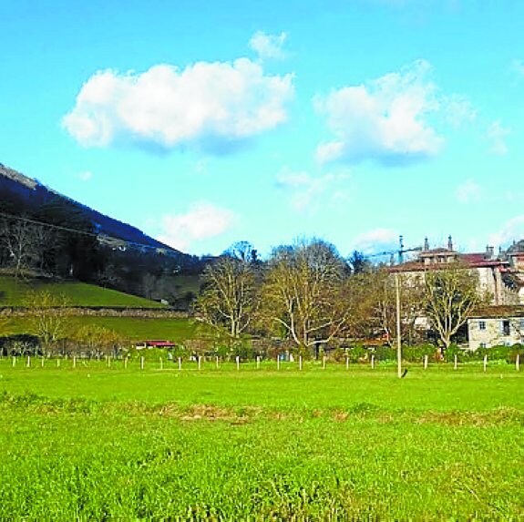 Vista de los terrenos en los que  se construirá el parque. 