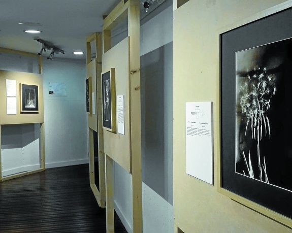 Un aspecto de la exposición que se ofrece en el Centro de Recursos Medioambientales de Cristina Enea.