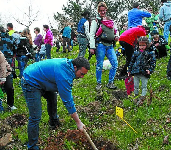 Se plantará un árbol por cada hondarribitarra del 2016. 