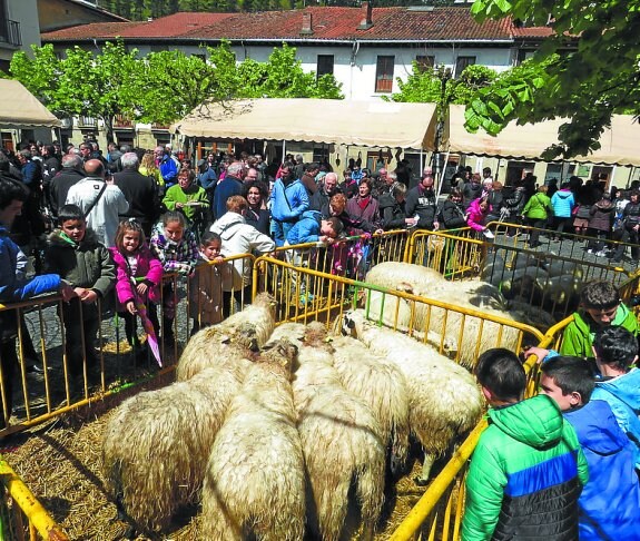 El día del pastor será el 13 de mayo en Aretxabaleta. 