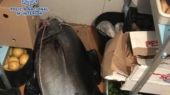 El muerto que resultó ser un atún