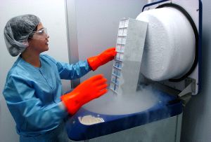 Una investigadora de Inbiomed comprueba el almacenamiento de células criopreservadas en un tanque de nitrógeno líquido. [JUAN HERRERO / EFE]