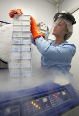 El fármaco ya ha sido probado con 321 enfermos.