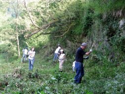 Voluntarios de Burdina Taldea se afanan por limpiar el camino del tren del Plazaola. /BELAUNTZARAN