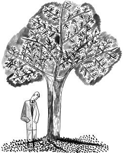 El órdago navarrista