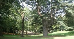 El parque de Cristina Enea es uno de los parajes más entrañables para los donostiarras. /AYGÜES