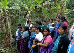 Un grupo de mujeres de la comunidad Guaximal del municipio Salto de Agua, en Chiapas. /K.I