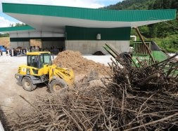 Restos de poda acumulados para su tratamiento en Lapatx. /MORQUECHO