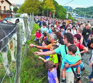 Una multitud respalda a las ikastolas