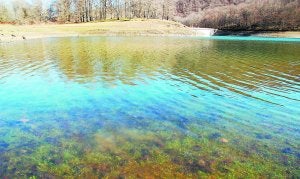 Cientos de ranas en el fondo del embalse de Leurtza. ::                             A.D.C.