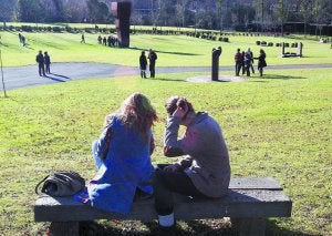 Último día. Una vista de las campas del museo de Chillida-Leku, el pasado 31 de diciembre. ::                             NAGORE IRAOLA