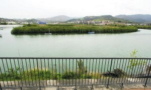 Baccharis. Las islas del Bidasoa, como Jaizubia y Plaiaundi, son víctimas de la invasión. ::                             F. DE LA HERA