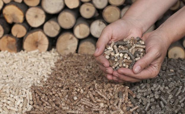 Forestalia promueve la instalación de una planta de biomasa en Cubillos del Sil.v
