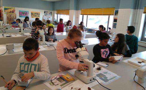'Identificando seres vivos… en la Universidad', un taller para acercar a los escolares al medio natural