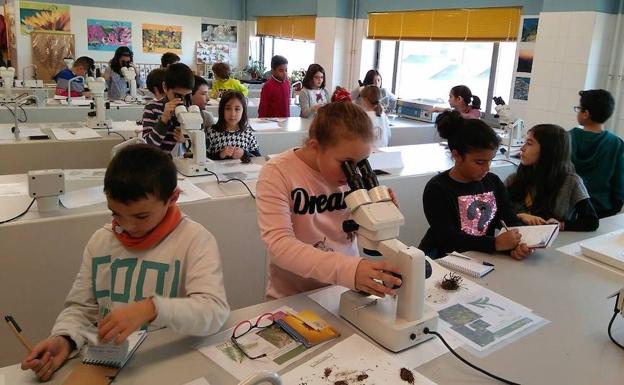 Los escolares participaron en el Campus del Bierzo en un taller sobre seres vivos. 