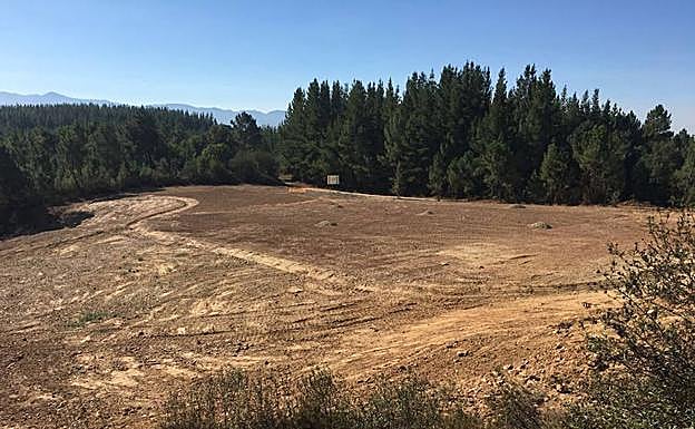 Imagen de la zona recuperada.