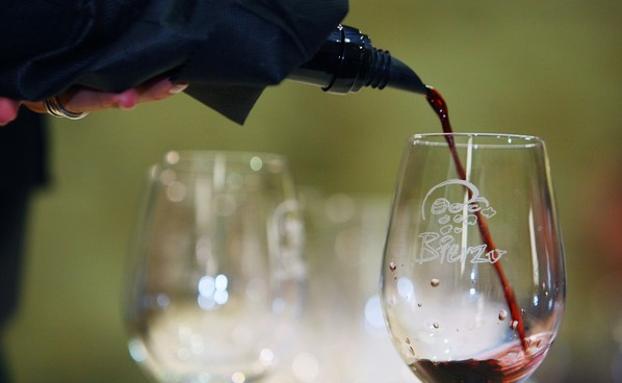 Los vinos de la DO Bierzo se presentan en Alemania.