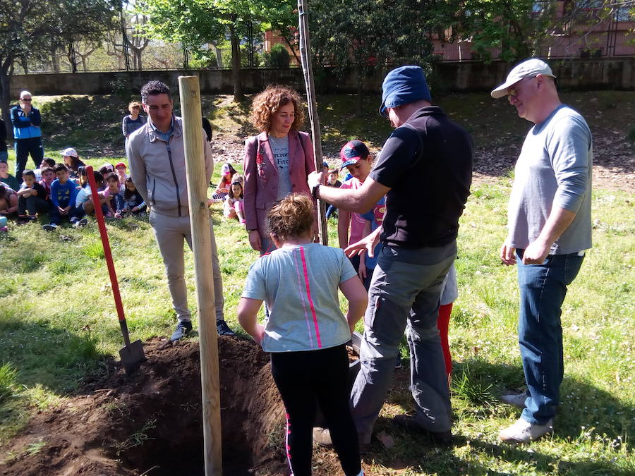 Fotos: Plantación de árboles en el colegio Peñalba de Ponferrada