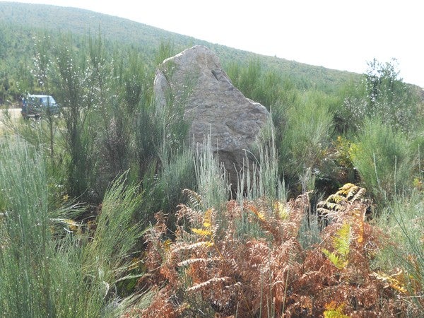 Fotos: Menhir descubierto en la zona de Tejeira