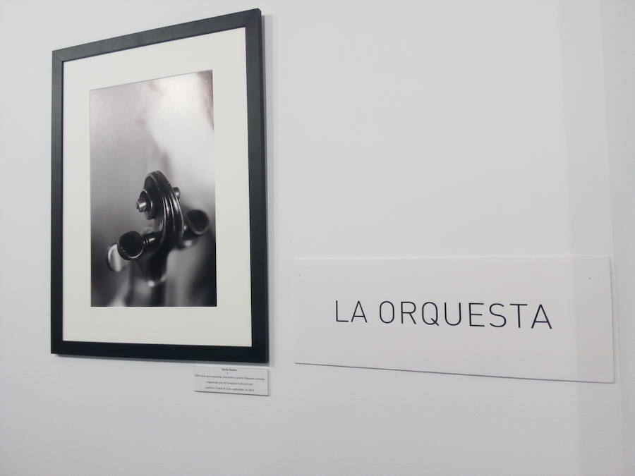 Fotos: Exposición &#039;Cuando miro la música&#039; en el Campus de Ponferrada