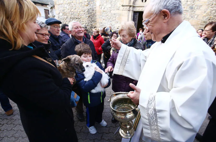 Fotos: Bendición de los animales por San Antón en Cacabelos