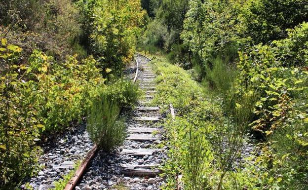 El Consorcio del Ponfeblino reclamará 100.000 euros a la Junta para el mantenimiento de la línea del antiguo tren minero