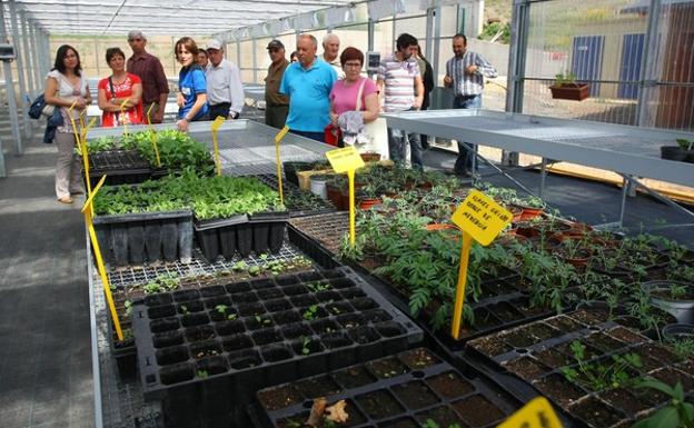 Instalaciones de Ciuden Vivero.