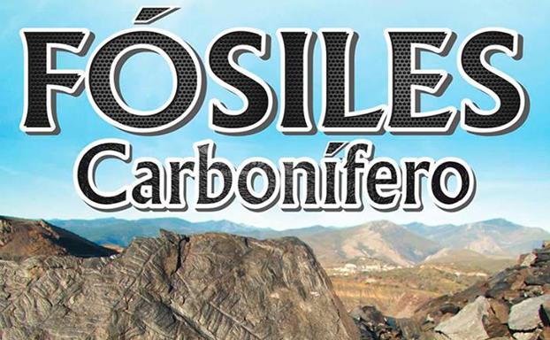 Fabero inaugura el sábado una exposición de fósiles del carbonífero