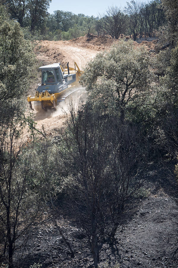 Intervención de un buldózer en el monte. 