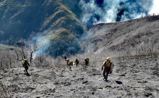 Labores de extinción del fuego en Anllarinos.