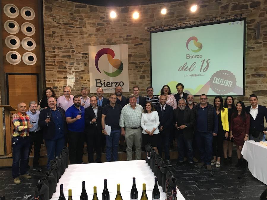Fotos: La añada de 2018 de la DO Bierzo recibe la calificación de «excelente»