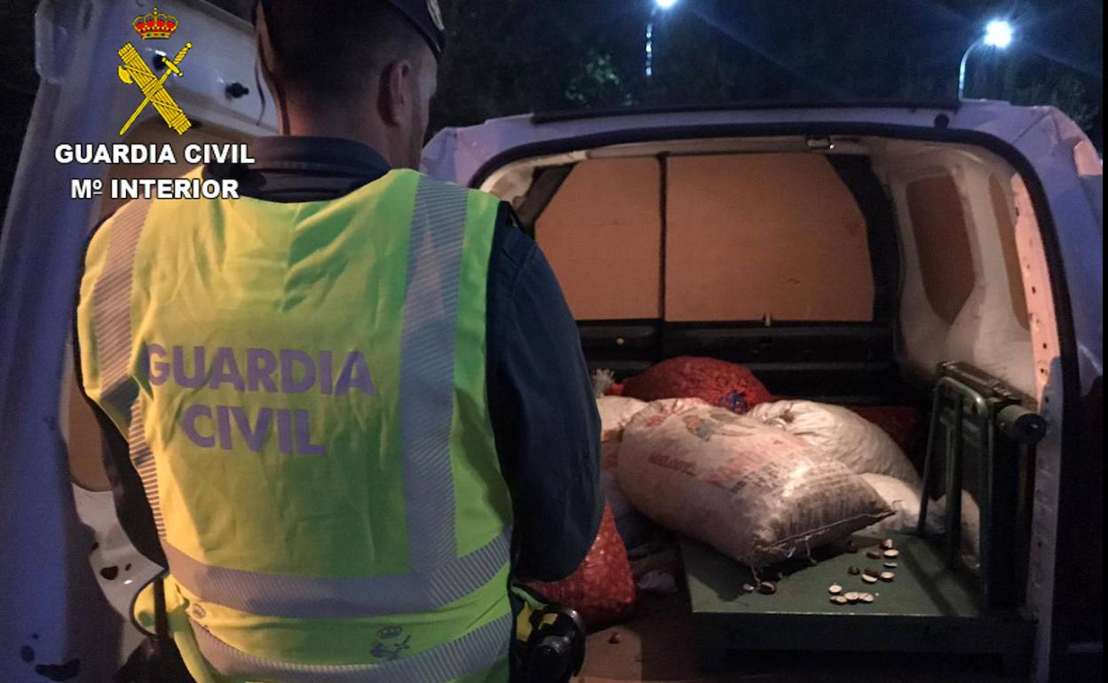 La Guardia Civil recuperó 415 kilos de castañas sustraídas en El Bierzo.