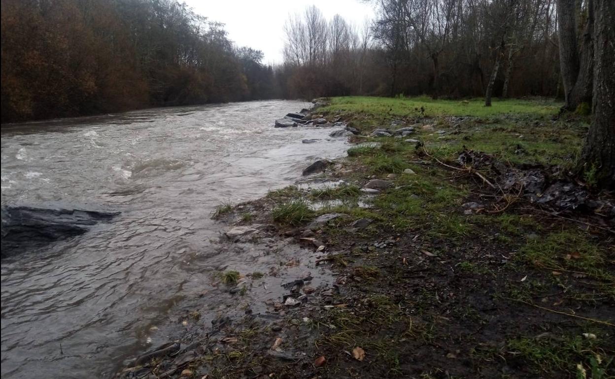 Riesgo de inundación en el parque y los cultivos de Arborbuena.